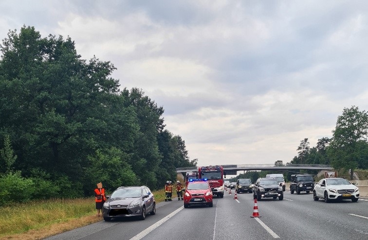 20250713_110832_resized zugeschnitten bearbeitet.jpg